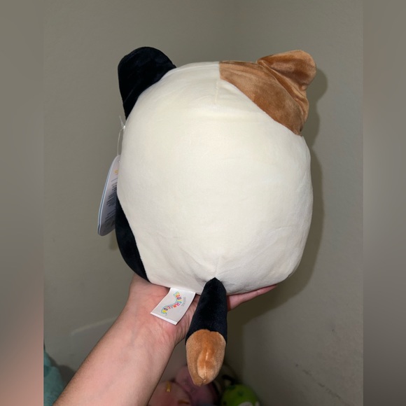 New Cam The Cat Squishmallows - Picture 4 of 4